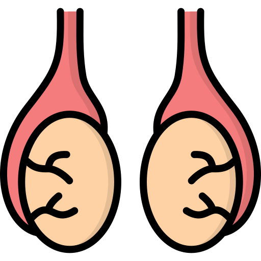 Testicular Torsion