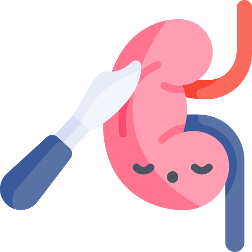 Percutaneous Nephrostomies