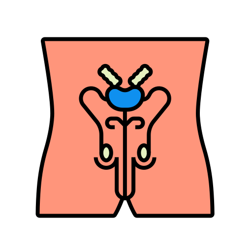 Inguinal Hernia Repair