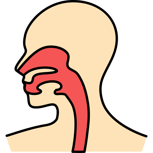 Tracheoesophageal Fistulas