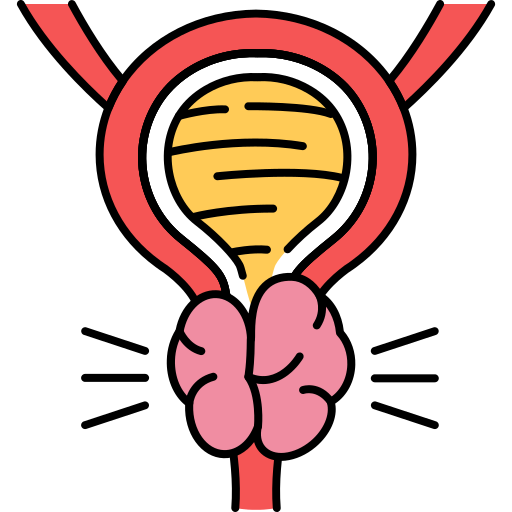 Urethral Strictures