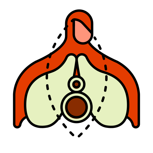 CPAM