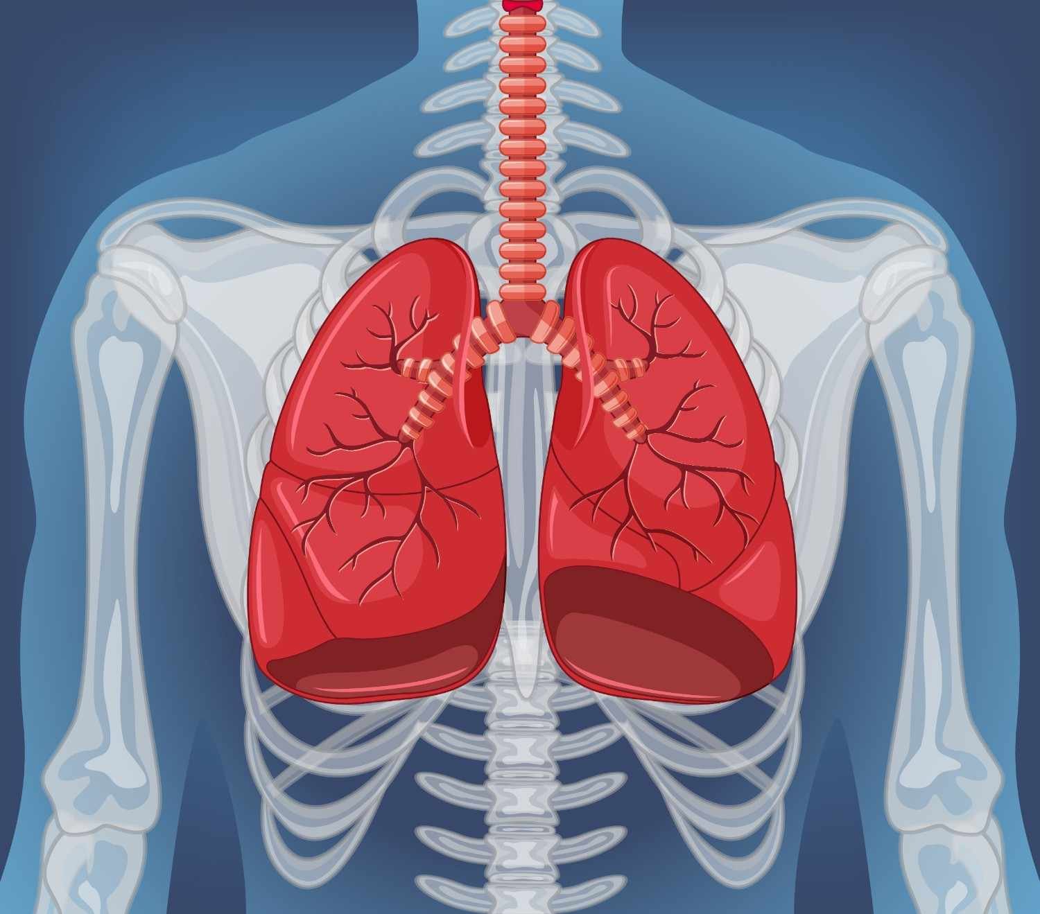 Best Thoracic Surgery Doctor in Nehru Nagar
