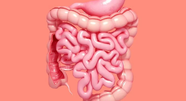 Untitled design - 2025-06-19T145650.560