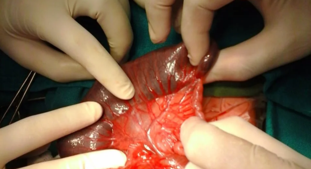 Untitled design - 2025-06-19T162519.369