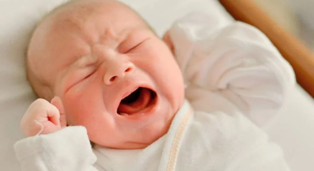 Untitled design - 2025-06-19T163320.212