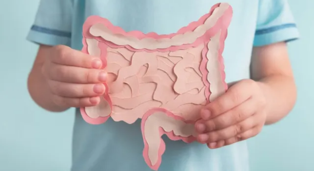 Untitled design - 2025-06-19T164232.561