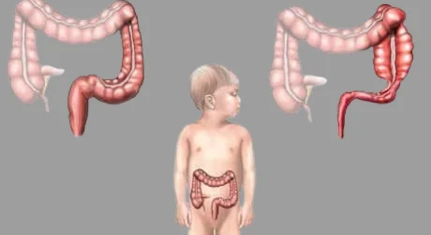 Untitled design - 2025-06-19T170810.824