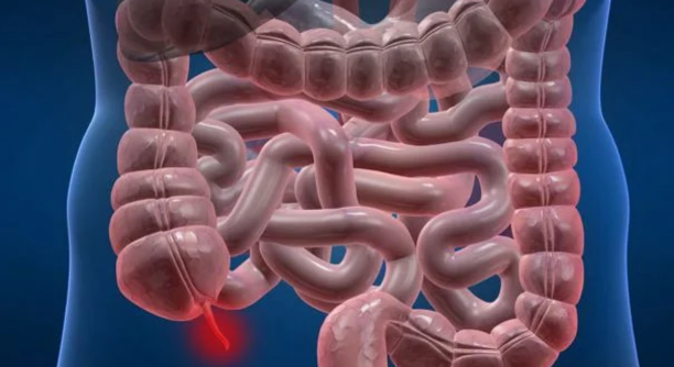 Untitled design - 2025-06-19T171358.692