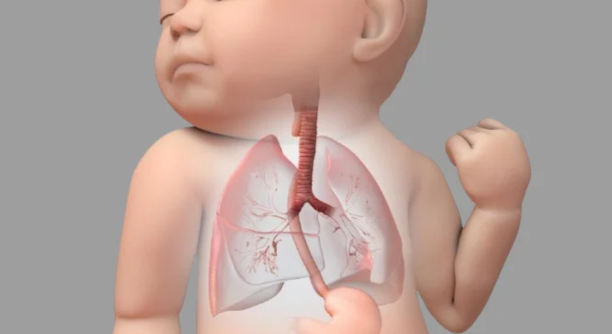 Untitled design - 2025-06-20T104337.072