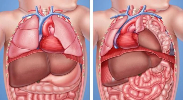 Untitled design - 2025-06-20T105256.800