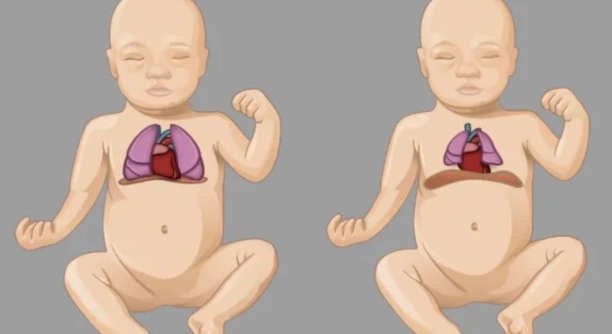 Untitled design - 2025-06-20T120417.090