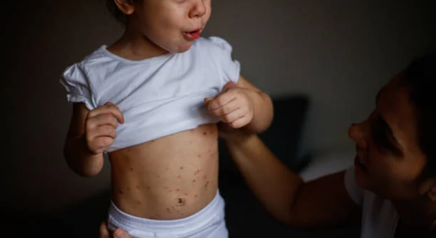 Untitled design - 2025-06-20T134254.557