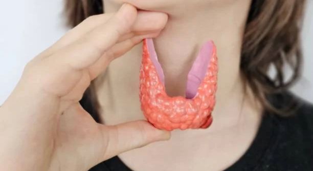 Untitled design - 2025-06-21T111215.480