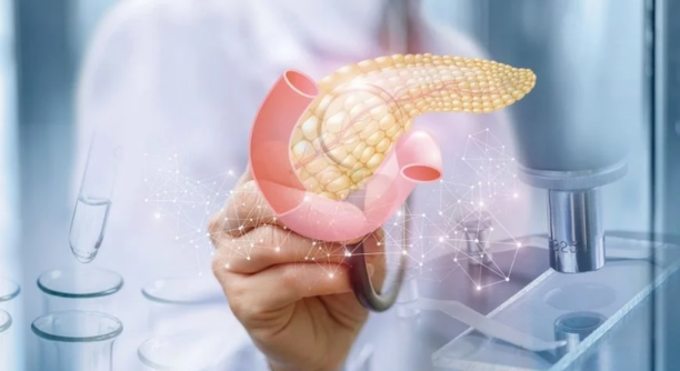 Untitled design - 2025-06-21T154452.664