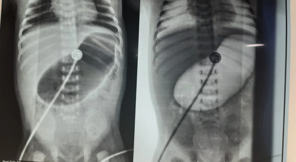 Untitled design - 2025-06-23T105615.280