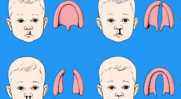 Untitled design - 2025-06-23T112829.491