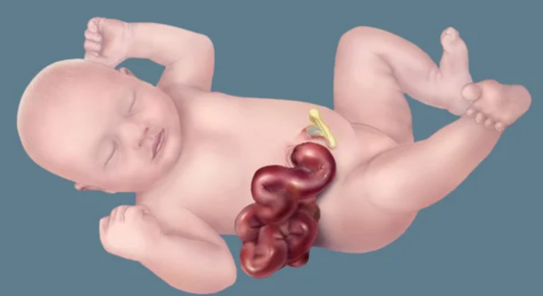 Untitled design - 2025-06-26T123423.826