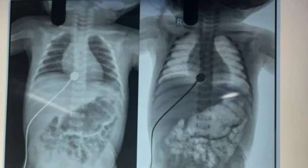 Untitled design - 2025-06-26T125907.421