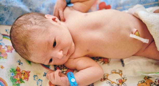 istockphoto-1328200028-612x612